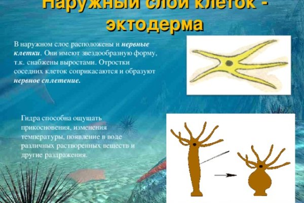 Кракен даркнет отзывы